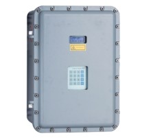 SS2100i gas analyzer