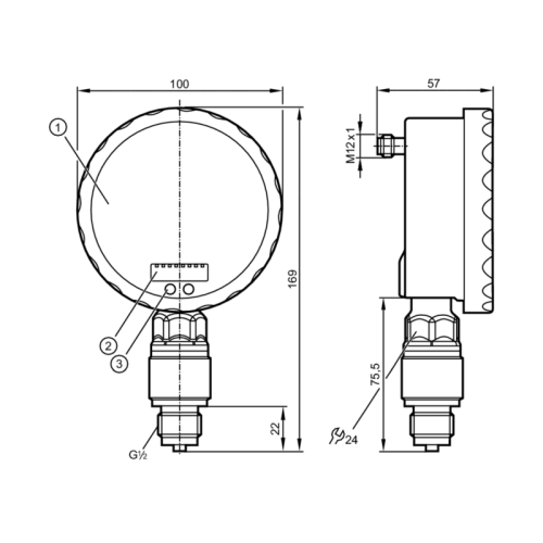 Датчик давления с аналоговым дисплеем PG2451
