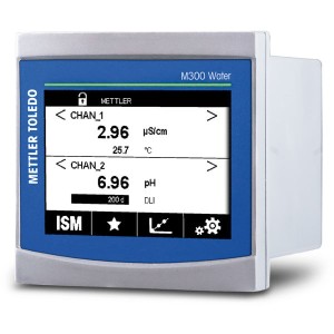 Transmitter M300 Water 2-CH ¼DIN