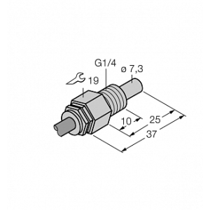 Датчик потока TURCK FCS-G1/4A4-NAEX0