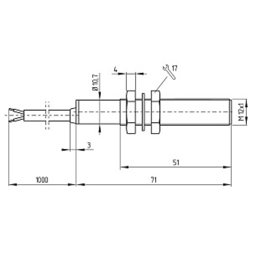 Магнитный герконовый датчик Schmersal BN120-RZ/V