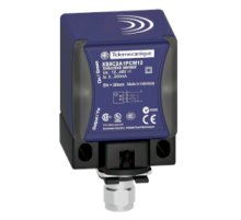 Telemecanique XS9C2A2A1M12