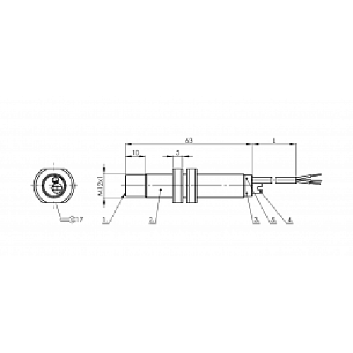 Емкостной датчик уровня Balluff BCS M12TTI1-POM60G-ET02-E