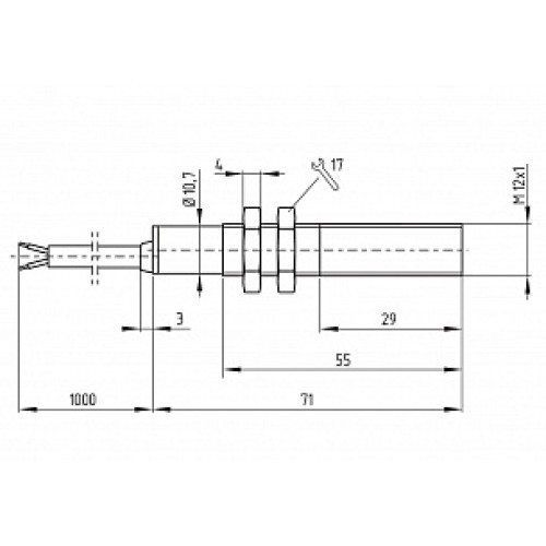 Магнитный герконовый датчик Schmersal BN12-10Z/V